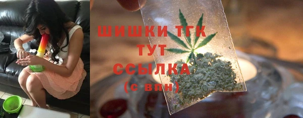 шишки Алексин