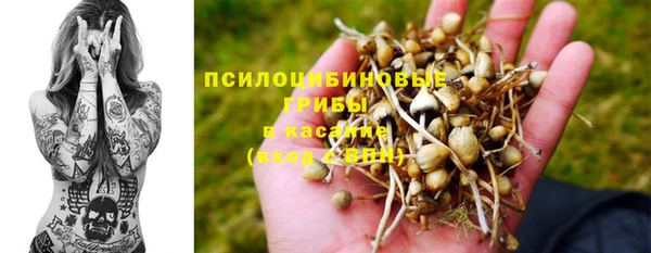 шишки Алексин