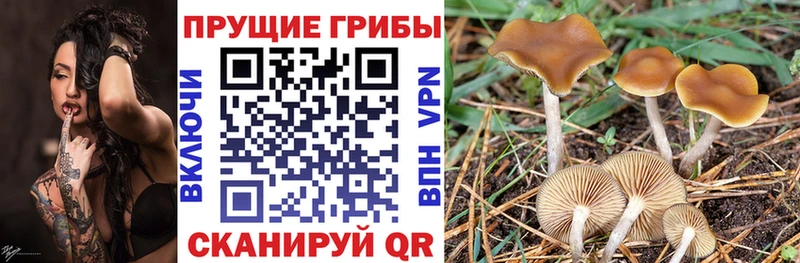 Галлюциногенные грибы ЛСД  Купить  Буинск 